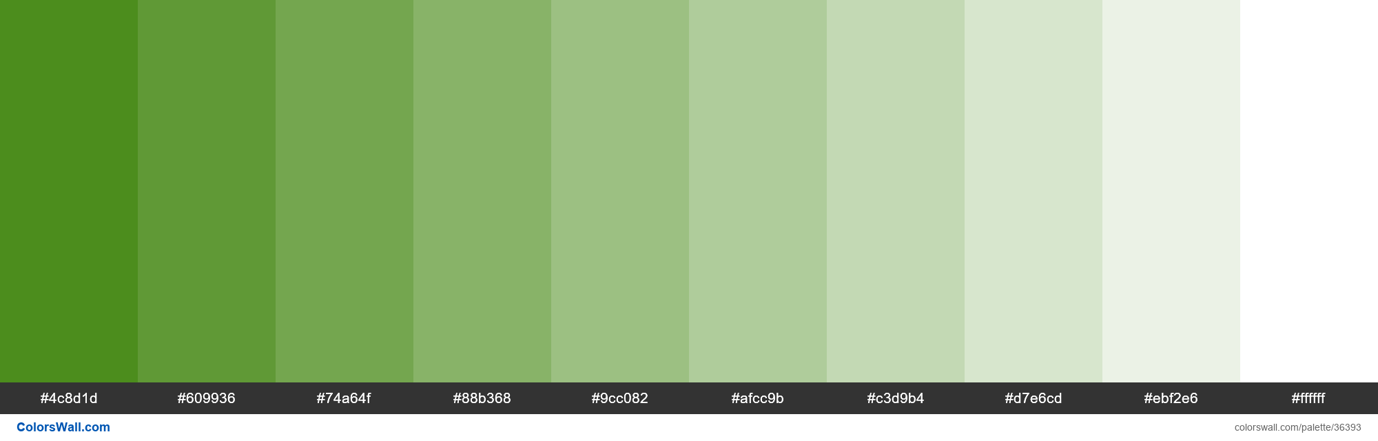 tints-xkcd-color-dark-grass-green-388004-hex-colors-palette-colorswall