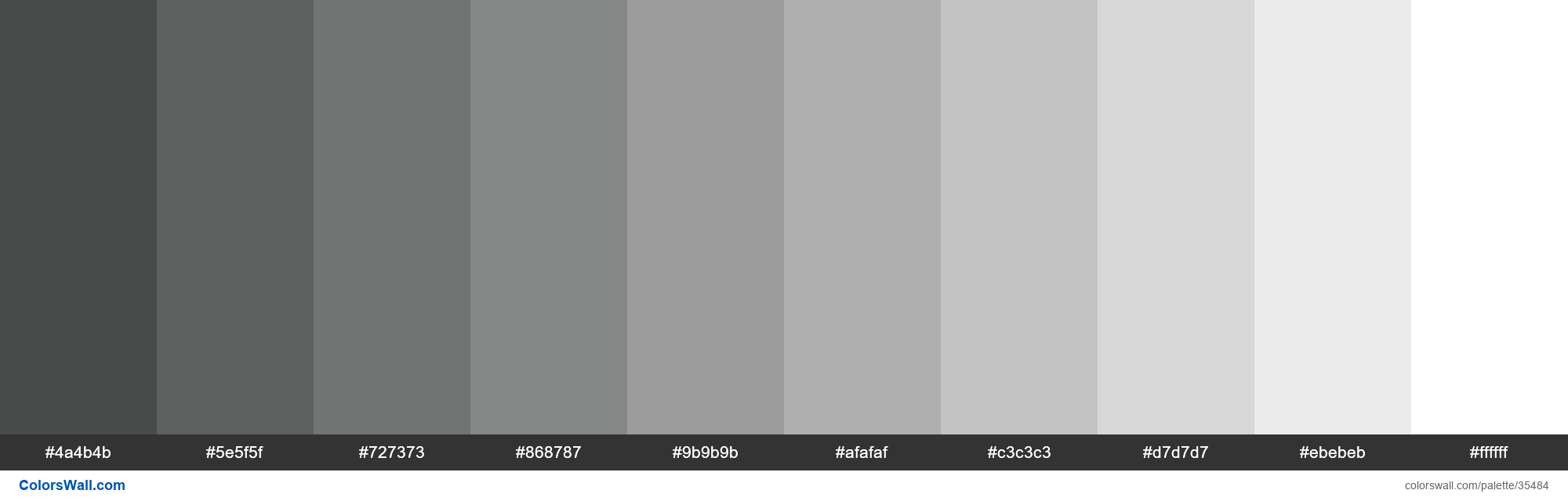 Shades XKCD Color dark grey #363737 hex colors palette - ColorsWall