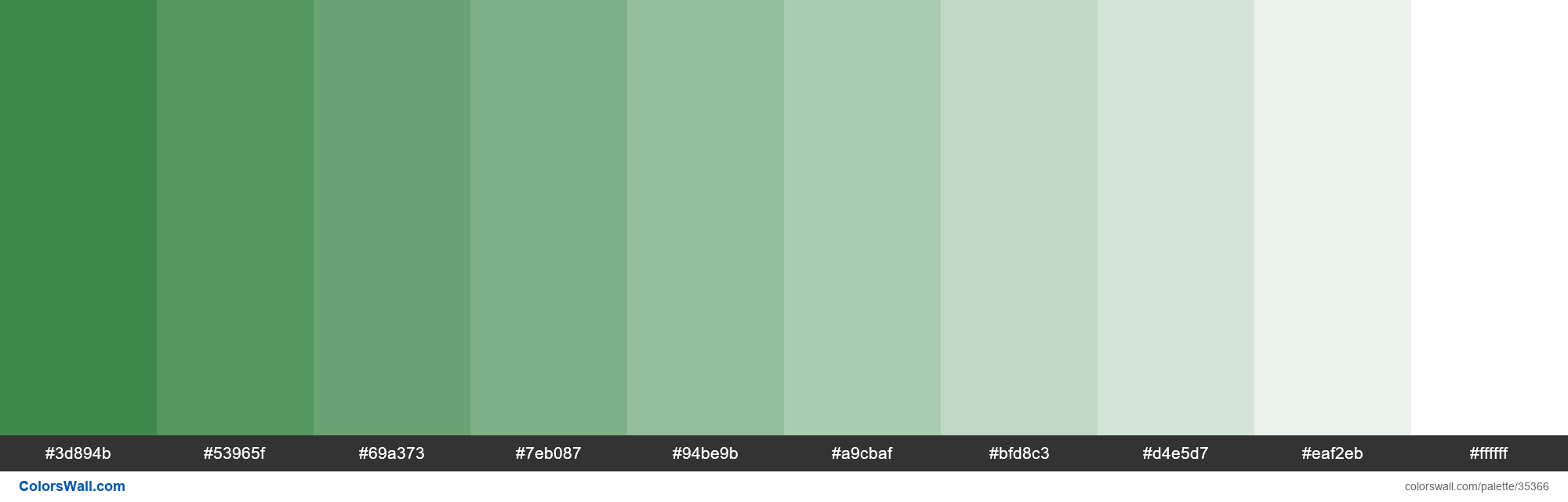 tints-xkcd-color-darkish-green-287c37-hex-colors-palette-colorswall