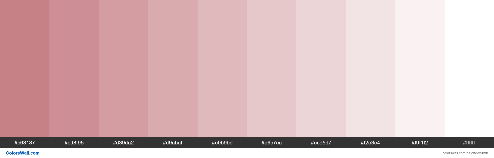 Tints XKCD Color dusty rose #c0737a hex palette de couleurs - ColorsWall