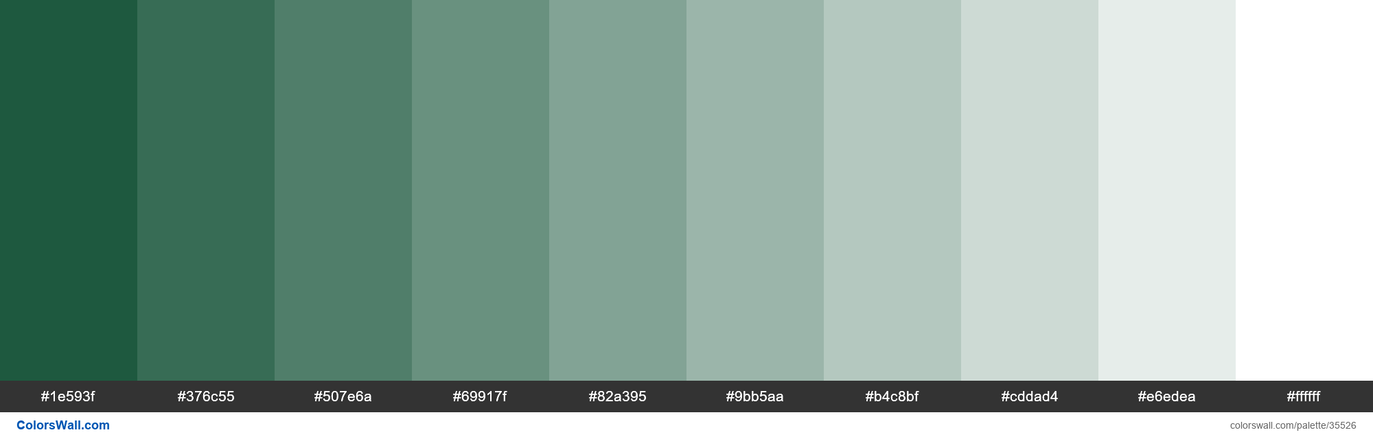 colorswall on X: Shades XKCD Color dark forest green #002d04 hex #002904,  #002403, #001f03, #001b02, #001702, #001202, #000e01, #000901, #000400,  #000000 #colors #palette   /  X