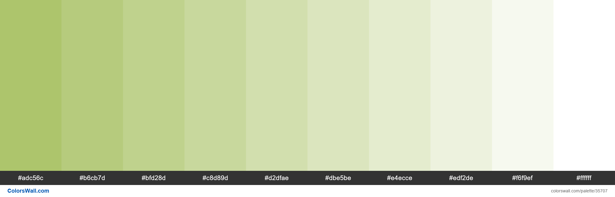 XKCD Color light olive green #a4be5c hex colors palette - ColorsWall