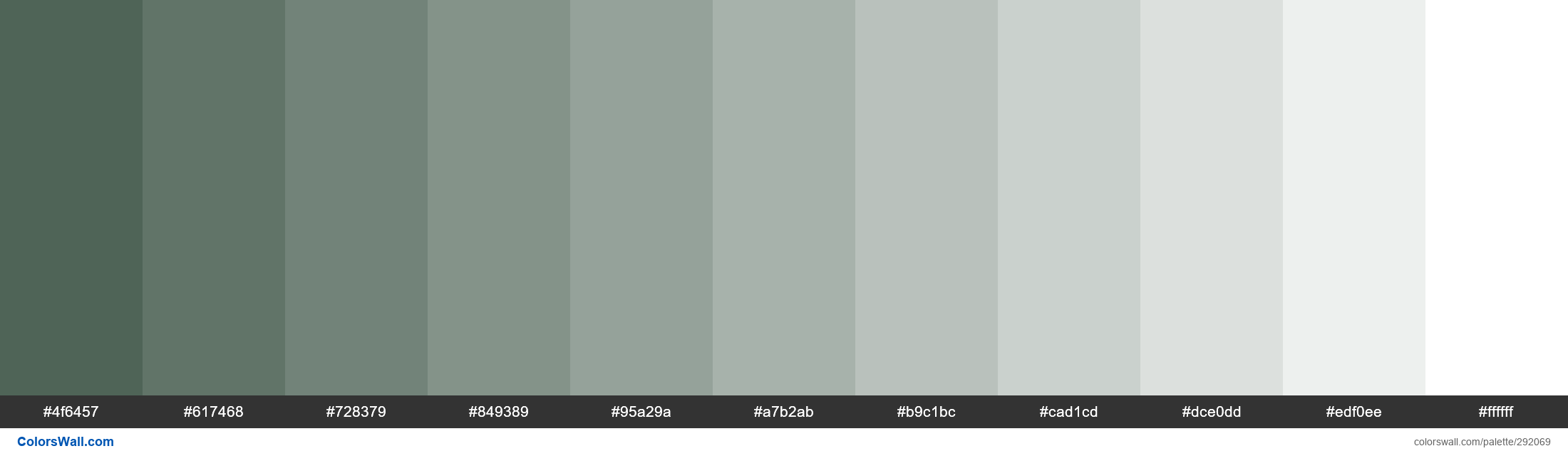 Trees colors palette #4f6457, #617468, #728379 - ColorsWall