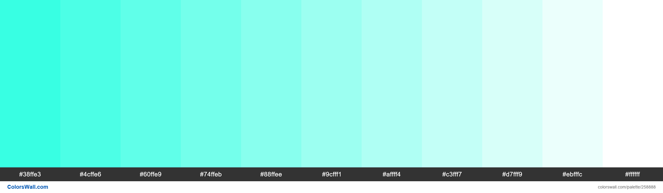 Turquoise Lava colors palette | ColorsWall