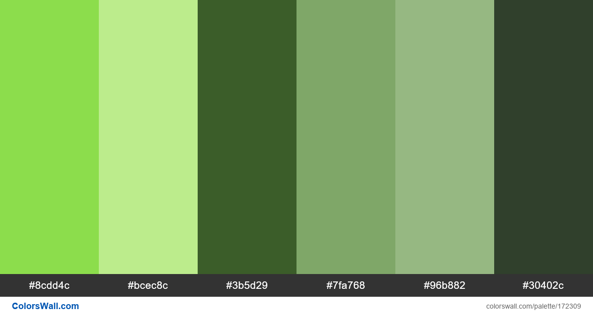 Typography Colors Modular Borders Colours - Colorswall