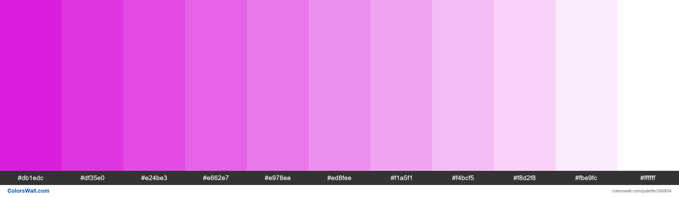 Vivid Boysenberry colors palette - ColorsWall