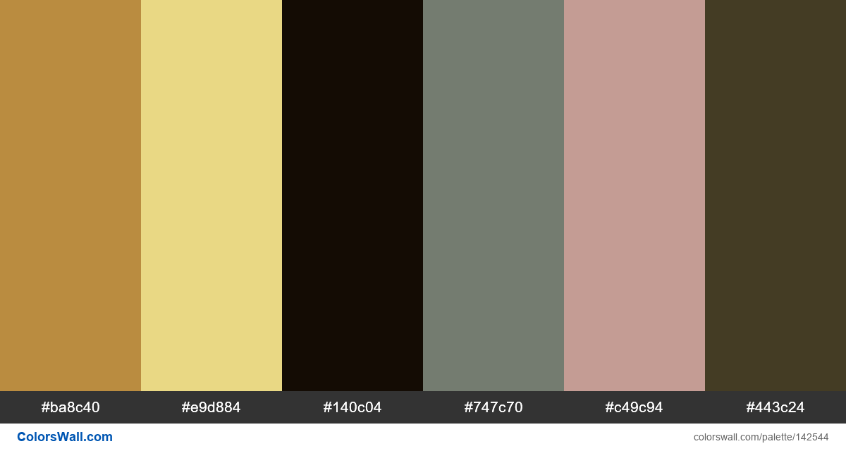 Web design daily 141357 colors palette - #142544