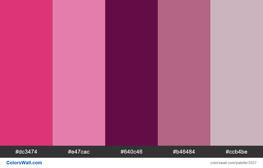 Web design daily colors palette 568 - #3557