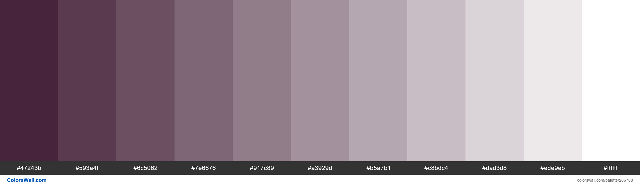 Winter Bloom colors palette - ColorsWall