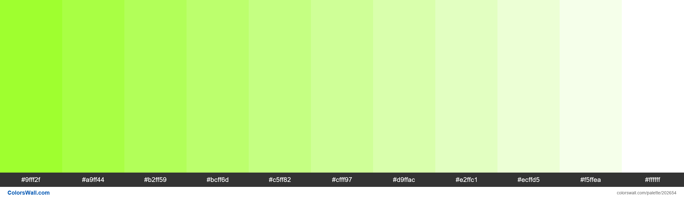 Zhunofluorescent Zucchini - #202654